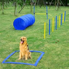 Agility prekážky pre psy | sada 4 typy