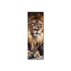 Wallity Obraz KING 30x90 cm hnedý