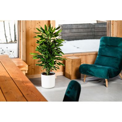Gardenico Kvetináč Lora biela, pr. 25 cm, pr. 25 cm