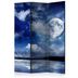 Paraván Magic Night Dekorhome 135x172 cm (3-dielny)