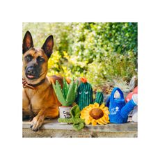 Darčeková súprava Blooming Buddies 5 ks – P.L.A.Y.