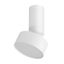 Rabalux 71326 - LED Stropné svietidlo OVIDIA LED/10W/230V 3000K biela