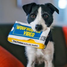 Hračka pre psa Videokazeta – P.L.A.Y.