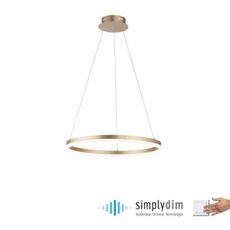 Paul Neuhaus 2382-60 - LED Stmievateľný luster na lanku TITUS LED/38,5W/230V