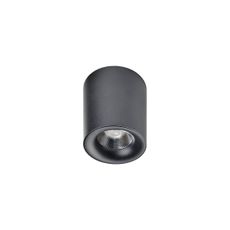 Azzardo AZ2844 - LED Stropné svietidlo MANE 1xLED/10W/230V