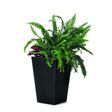 Ketter Obal na kvetináč Rattan Planter antracit, 23,6 l, 29 x 44 x 29 cm