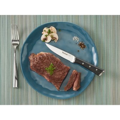 Súprava nožov na steak z nerezovej ocele 4 ks Ice Force – Tefal
