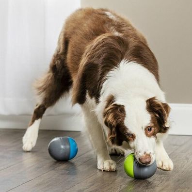 PetSafe® Ricochet Elektronická hračka pre psov