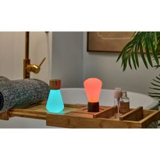 Stmievateľná stolová lampa v prírodnej farbe (výška 13 cm) Pentagon – Gingko