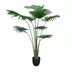 Artificial plant Washingtonia Robusta 2 200cm