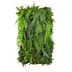 Vertical garden Fern Cascade