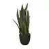 Artificial plant Sansewieria Zelenica 65cm