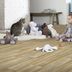 Beauflor PVC podlaha - lino Ambient Silk Oak 603M - Rozmer na mieru cm