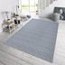 Hanse Home Collection koberce Kusový koberec Meadow 102468 Blue – na von aj na doma - 200x290 cm