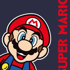 Faro Fleecová deka POLAR SUPER MARIO II. 100x140 cm modrá