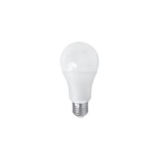 LED Žiarovka PITT A60 AC/DC E27/12W/24V 4000K