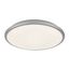 Rabalux 71129 stropné LED svietidlo Engon, 24 W, strieborná