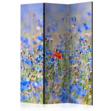 Paraván A sky-colored meadow - cornflowers Dekorhome 135x172 cm (3-dielny)