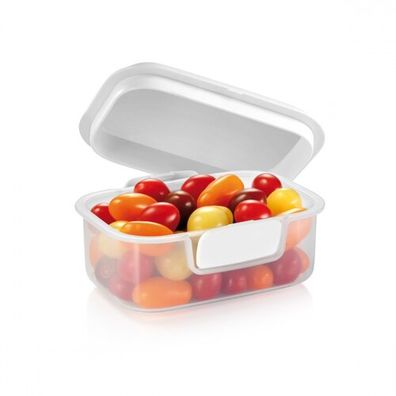Tescoma Dóza FreshZONE, 20,5 x 17,5 cm, L