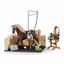 Schleich Umývací kút klubový s príslušenstvom, 24,5 x 19 x 6,6 cm