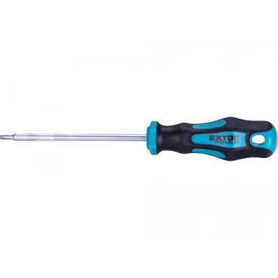 Skrutkovač TORX, TTa15x100mm, CrV
