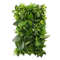 Vertical garden Tropical Freshness