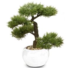 DekorStyle Bonsaj v bielom kvetináči 33 cm