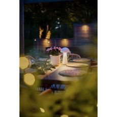Biela LED stolová lampa so stmievačom (výška 28 cm) Mushroom – Star Trading