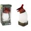 Lean Toys Detská USB lampa – Dinosaurus Pterosaurus