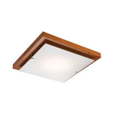 LED stropné svietidlo 1xLED/12W/230V