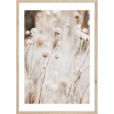 Obraz 50x70 cm Beige I – Styler