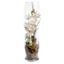 Orchidea sh00936 šírka 16cm výška 55cm