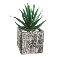 Eglo 428008 - Umelá rastlina v kvetináči CHITOSE 13x9,5 cm sukulent