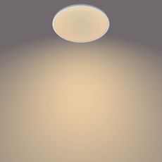 Philips - LED Stmievateľné stropné svietidlo CLEAR 1xLED/15W/230V 2700K