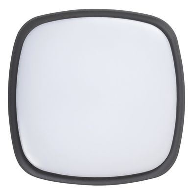 Rabalux 8797 - LED Vonkajšie stropné svietidlo AUSTIN LED/20W/230V IP65