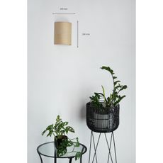 Brilagi - Nástenné svietidlo SEMI 1xE27/15W/230V pr. 20 cm béžová