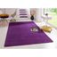 Tmavofialový koberec 160x240 cm Fancy – Hanse Home