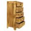 indickynabytok.sk - Komoda Manu 60x120x45 indický masív mango