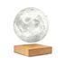 LED stolová lampa v prírodnej farbe (výška 14 cm) Moon – Gingko