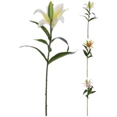 85KK 318800230 LILIA 59CM 3DAS