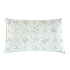 B.E.S. Petrovice Visco vankúš luxury Aloe Vera, 45 x 75 cm