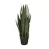 Artificial plant Sansewieria Zelenica 90cm