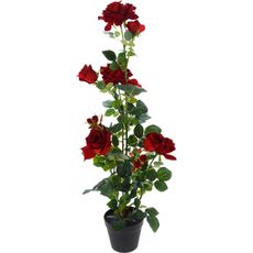 XXXL RUŽA 95 cm