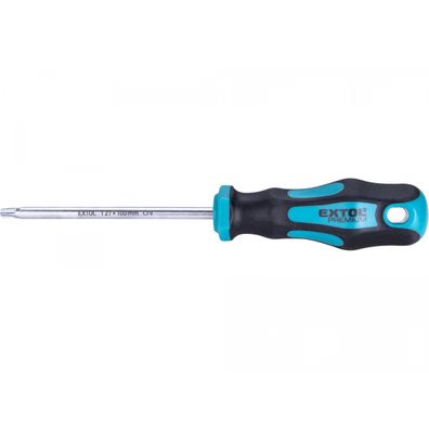 Skrutkovač TORX, TTa27x100mm, CrV