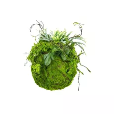 Decorative Moss Ball 25 cm