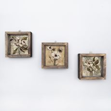 Wallity Súprava nástenných obrazov Brodler 15x15 cm 3 ks béžová