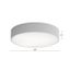 LED Stropné svietidlo CLEO LED/43W/230V 3000K pr. 40 cm šedá