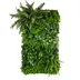 Vertical garden Laurel