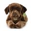 Rappa plyšový pes labrador 61 cm ECO - FRIENDLY
