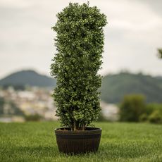 KONDELA Modan Typ 1 plastový kvetináč hnedá / vzor drevo